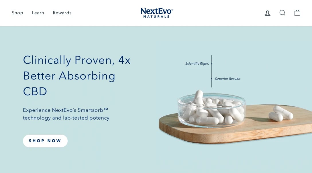 How We Used Topical Clusters To Boost A Startup’s Visibility in a Competitive Niche (Within 12 Months)